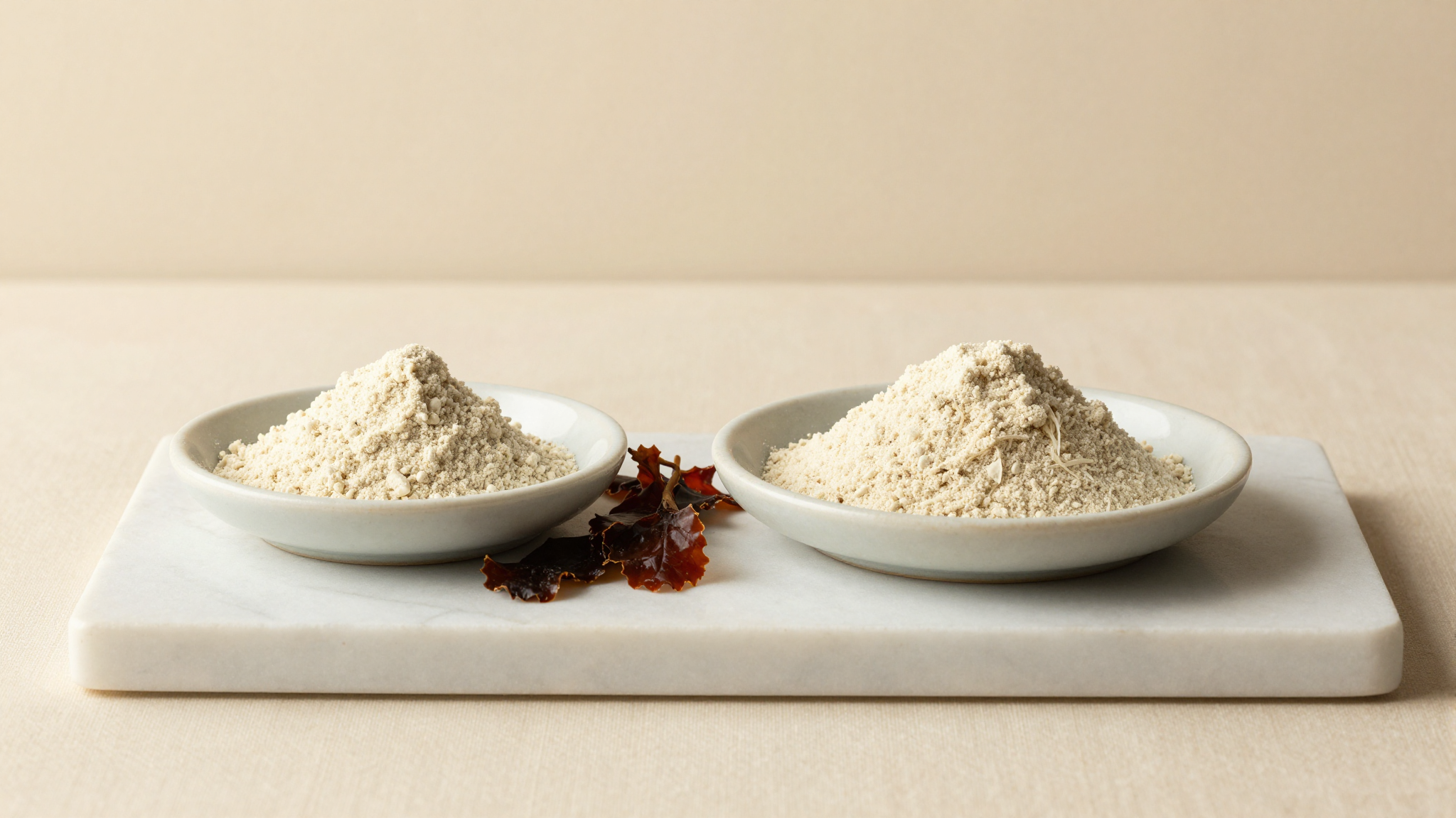 Carrageenan powder next to red seaweed (Irish moss), the natural source of this milk-protein-binding stabilizer