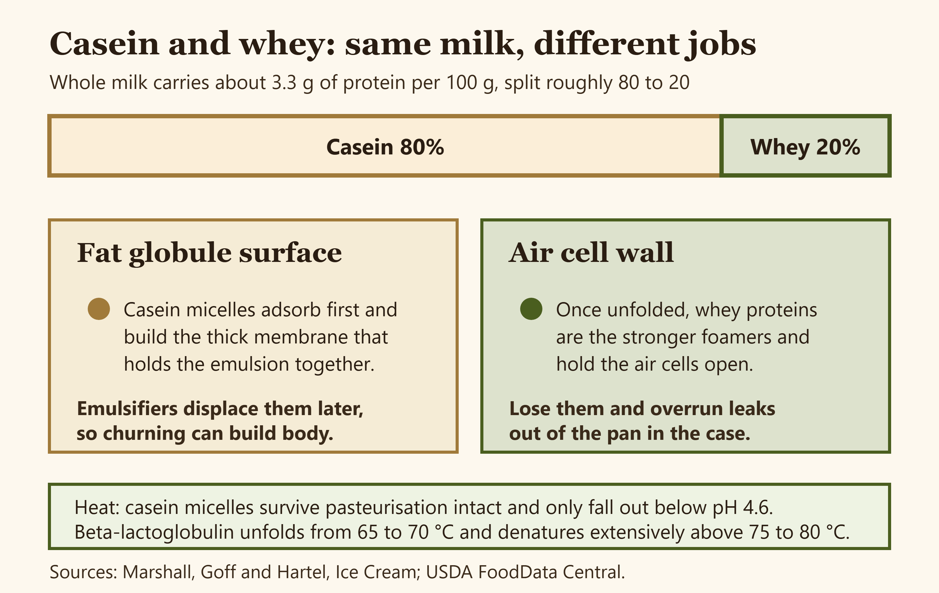 Composition bar showing milk protein split into 80 percent casein and 20 percent whey with the interface each one stabilises
