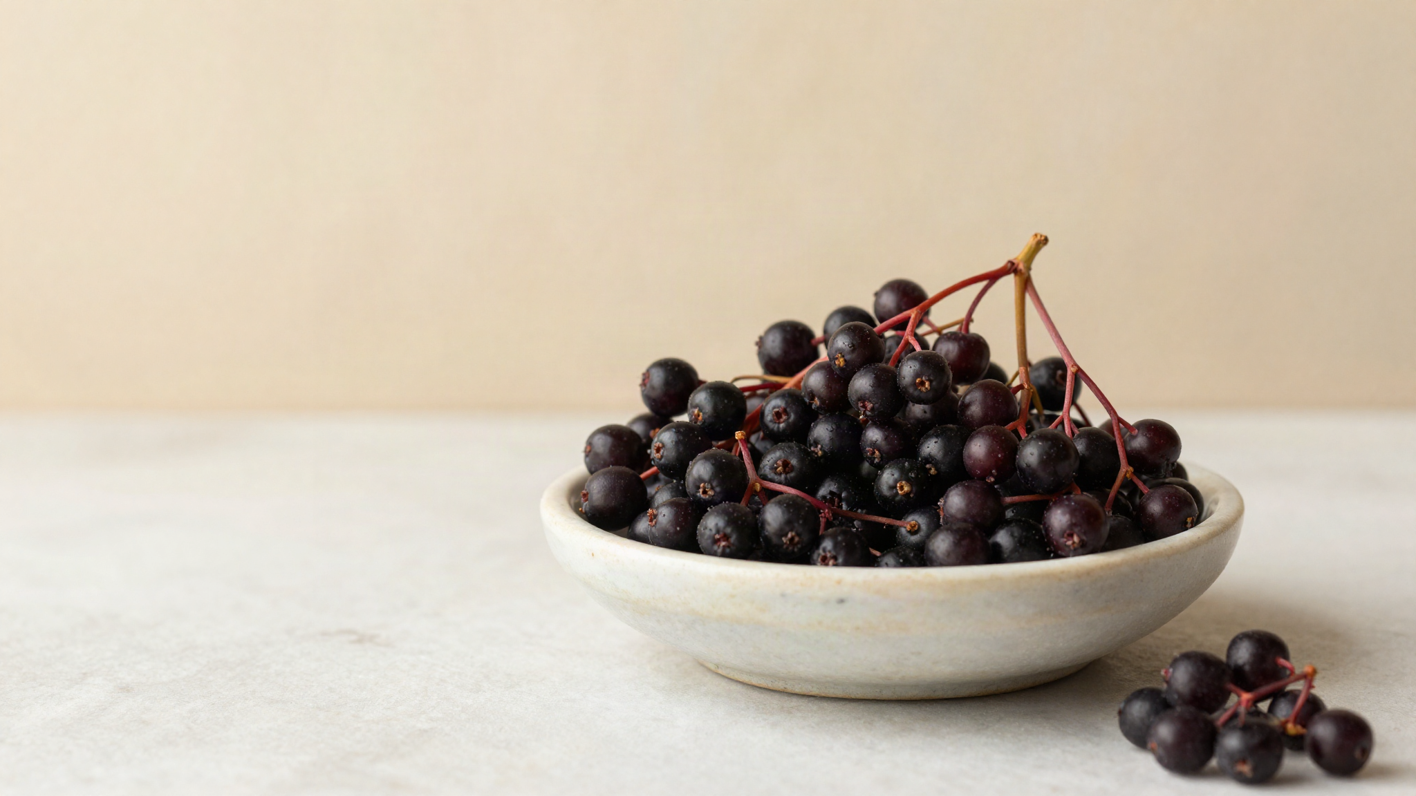 Clusters of ripe dark elderberries with fine red stems in a shallow ceramic bowl on marble