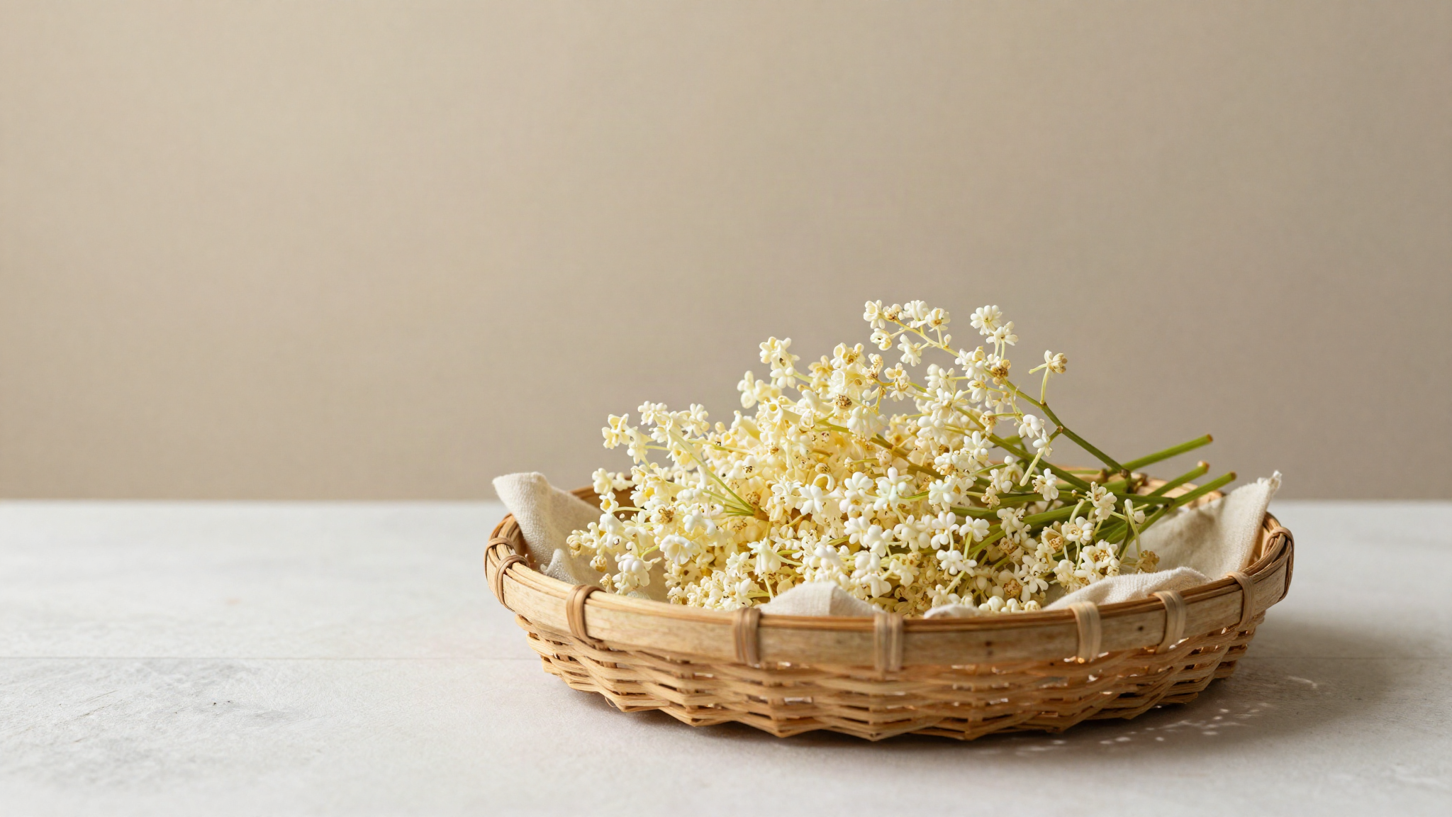 lead illustration for Elderflower Sorbet: A Floral Summer Sorbetto Recipe