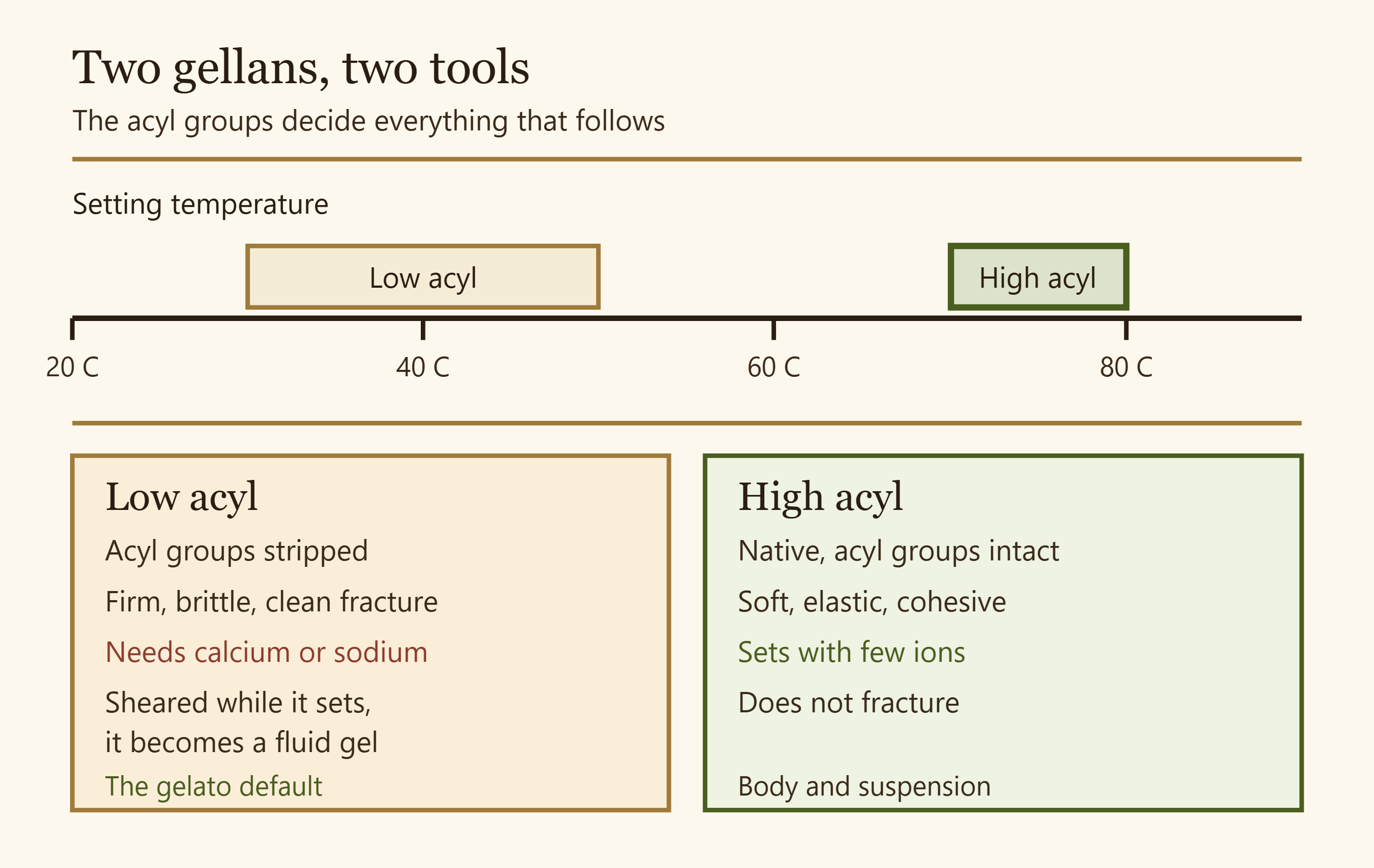 Diagram comparing high acyl and low acyl gellan gum by setting temperature, gel texture, and calcium requirement