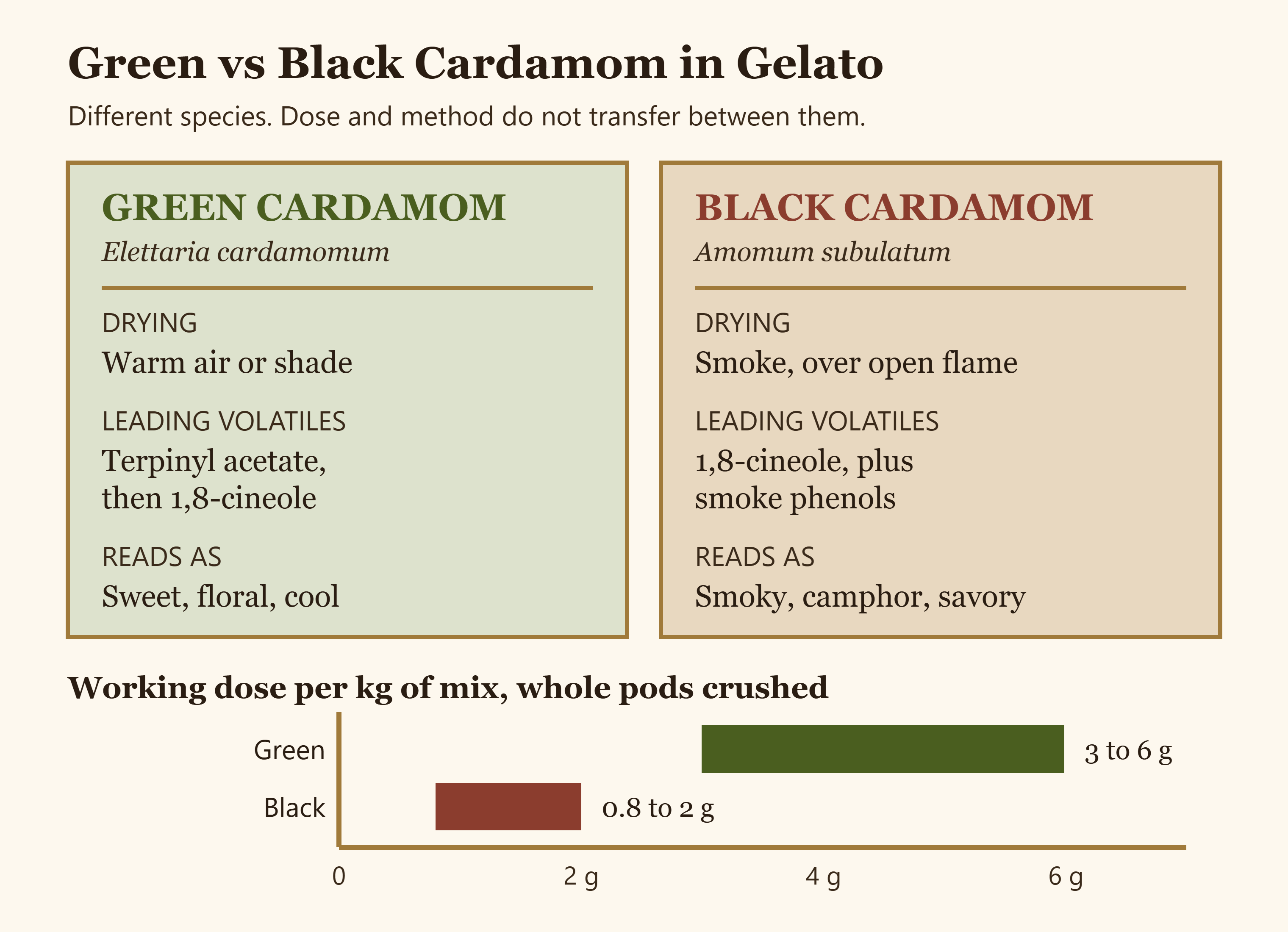 Diagram comparing green and black cardamom by species, aroma drivers, dose per kilo and infusion time
