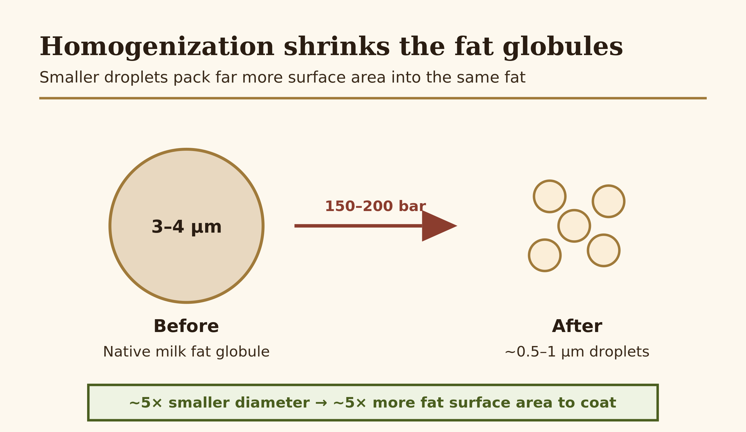 Diagram comparing fat globule size before and after homogenization