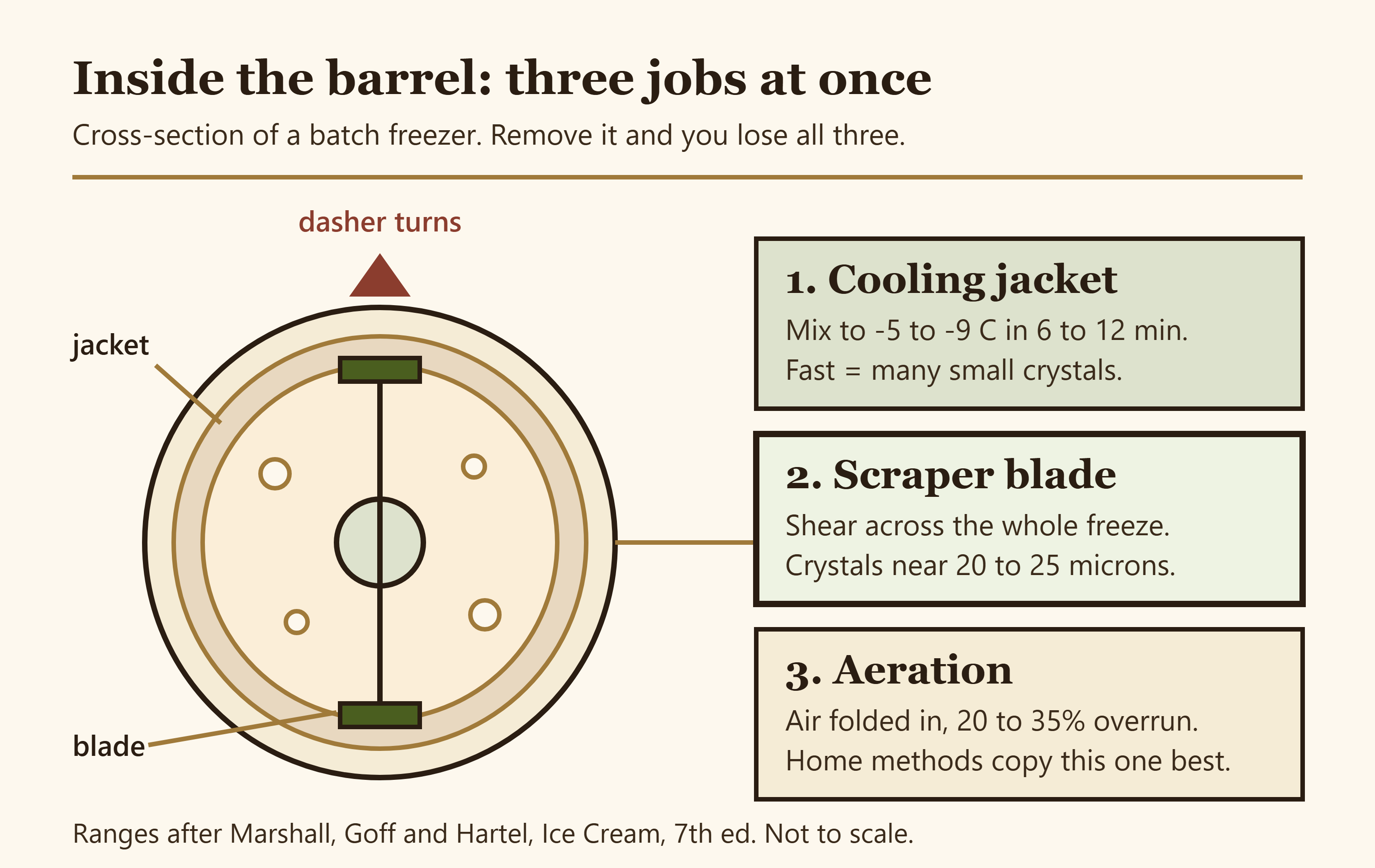 Labelled cross-section of a gelato batch freezer barrel showing the cooling jacket, scraper blade, dasher and mix