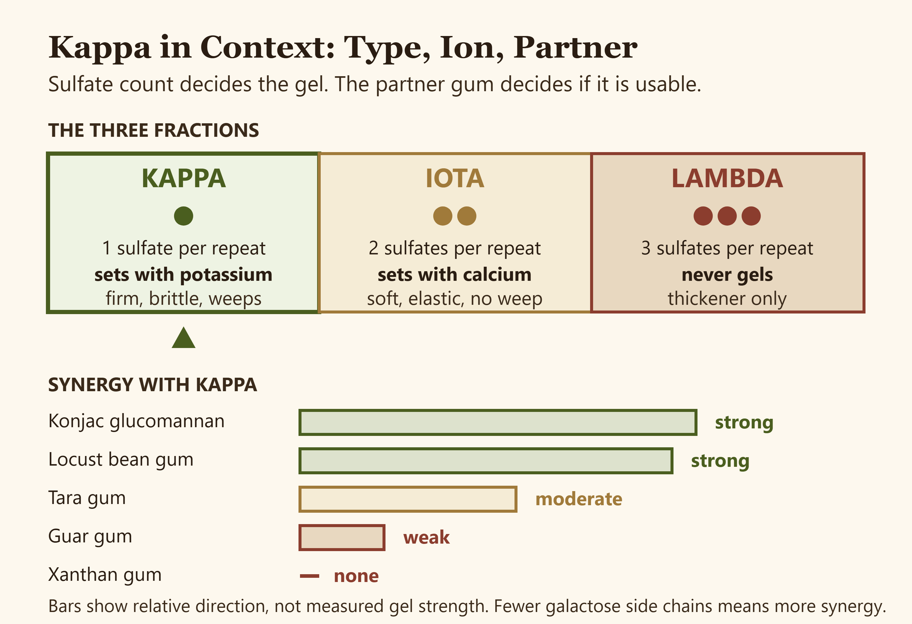 Diagram comparing kappa iota and lambda carrageenan by required ion gel texture and synergy