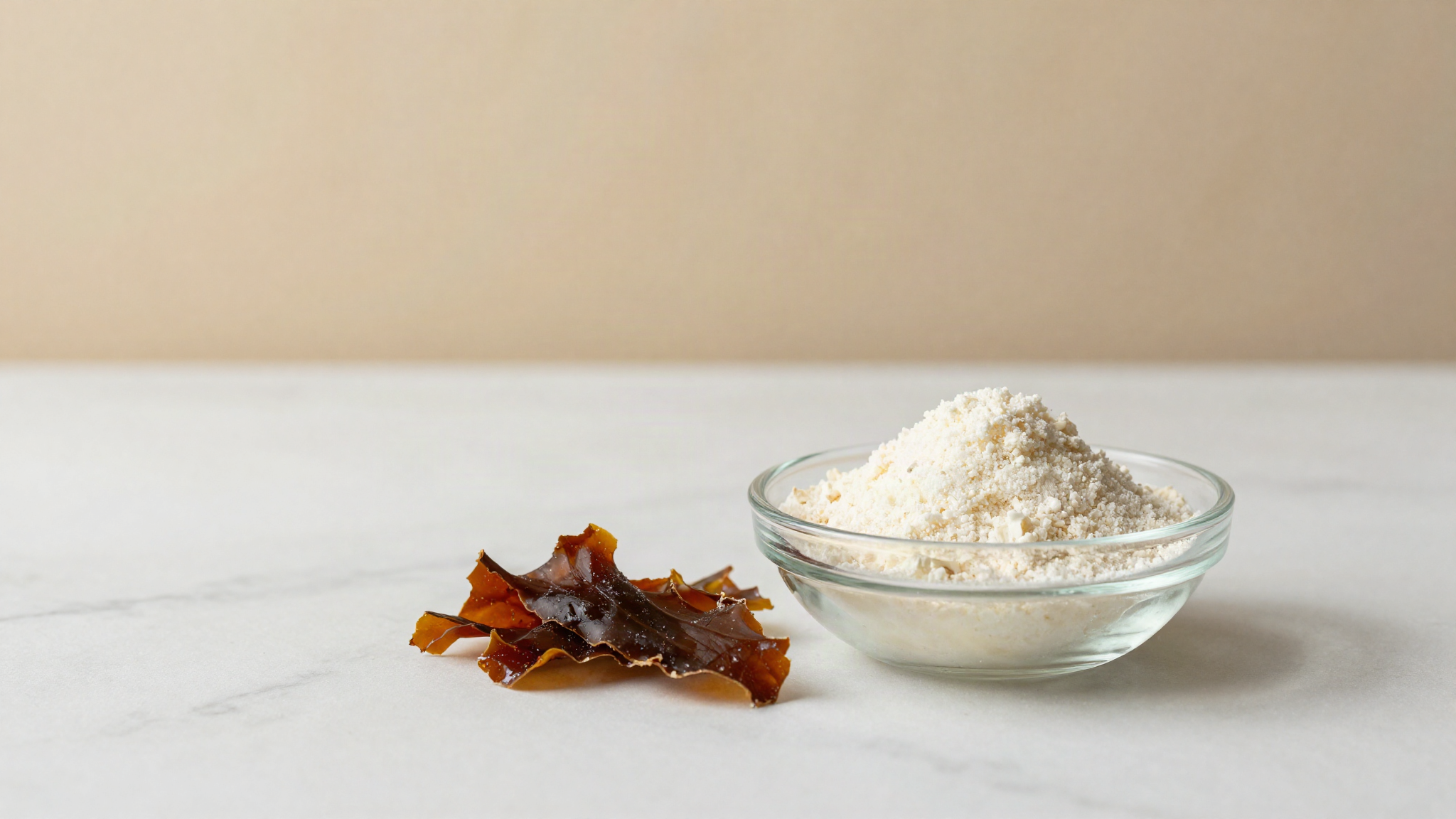 A glass dish of pale kappa carrageenan powder beside pieces of dried red seaweed on marble