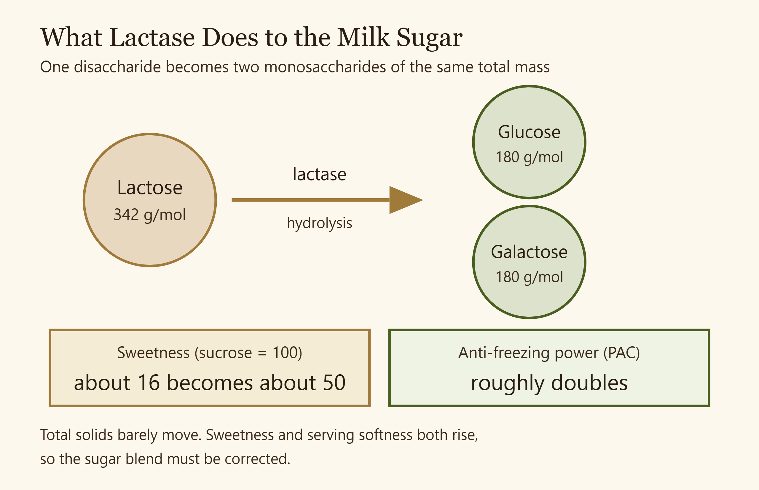 Diagram showing lactose splitting into glucose and galactose with the resulting change in sweetness and anti-freezing power