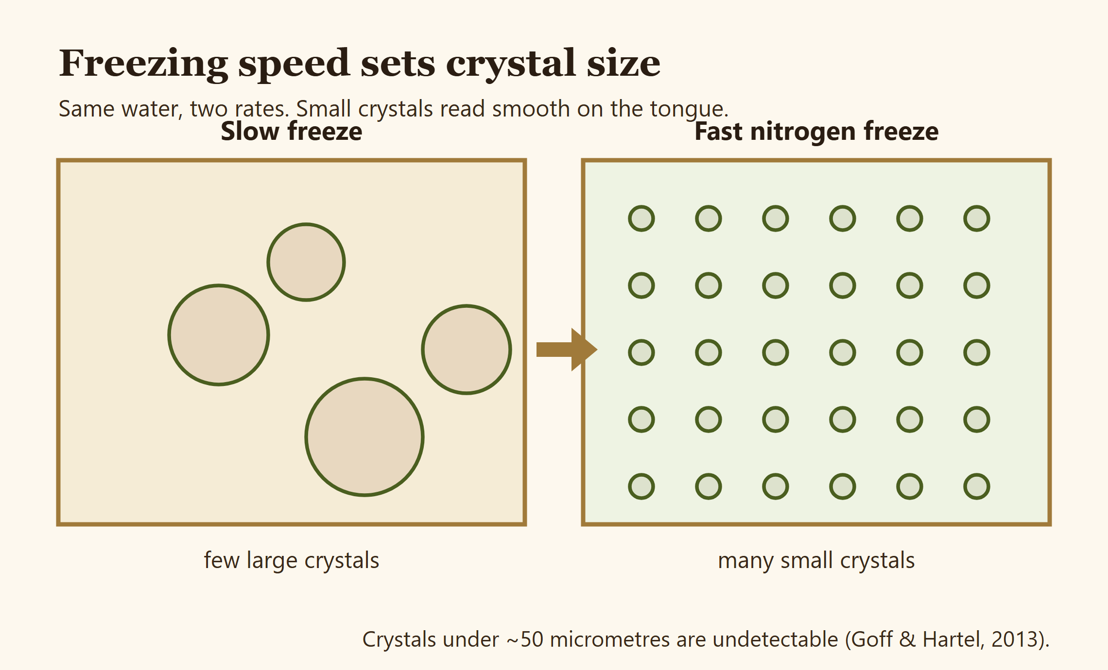 Diagram showing that slow freezing produces a few large ice crystals while fast nitrogen freezing produces many small crystals