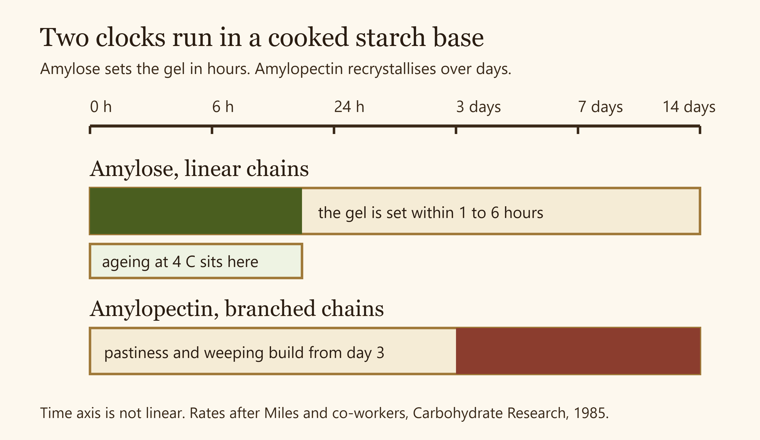 Timeline showing amylose retrograding within hours and amylopectin recrystallising over days