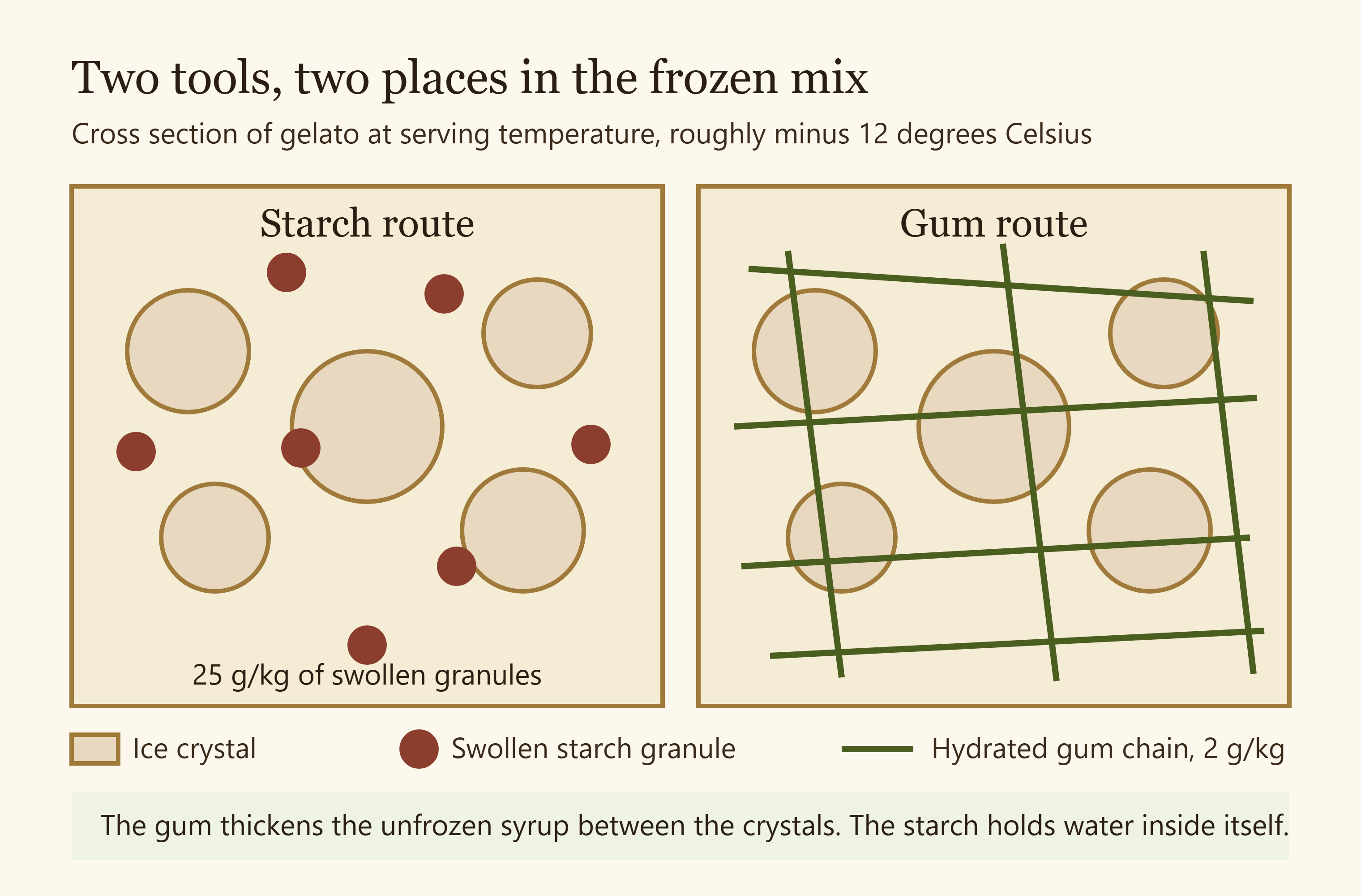 Diagram showing the unfrozen serum phase between ice crystals and where starch granules and gum chains sit